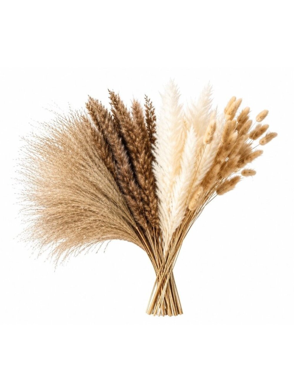 90 Stem Mixed Dried Grass Bundle, 16 Inch Neutral Vase Filler, Boho Wedding and